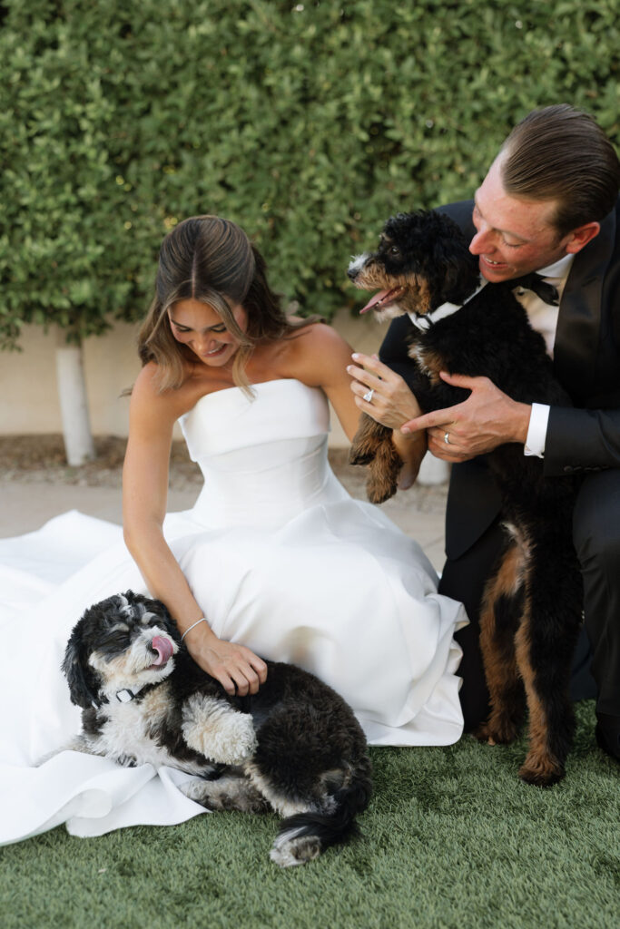 Wedding dogs photos Arizona wedding photographer